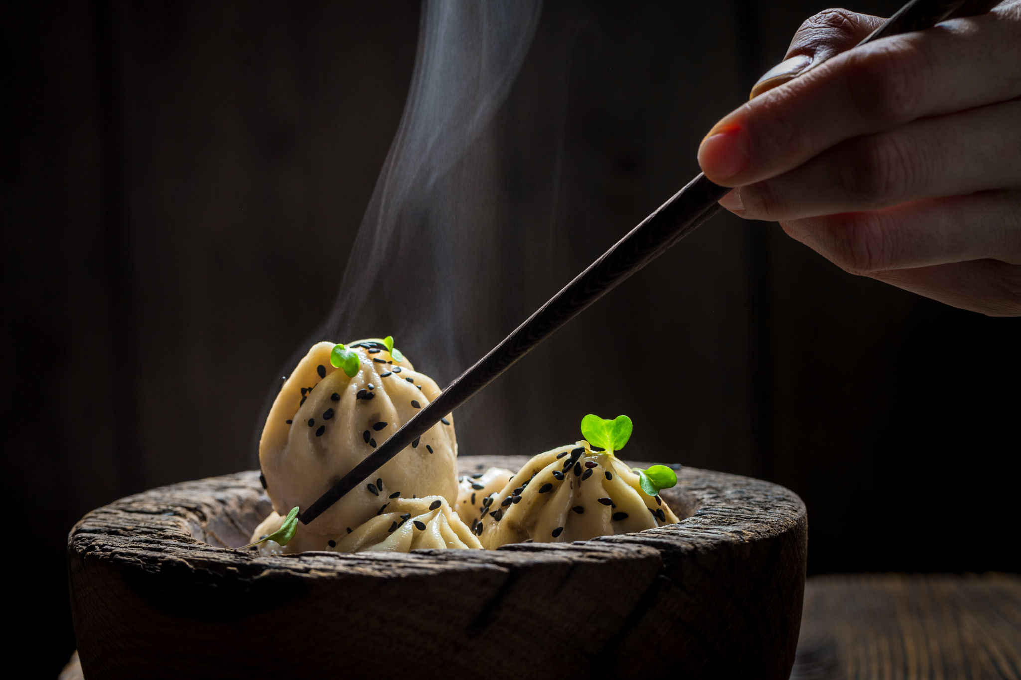 gourmet dumplings
