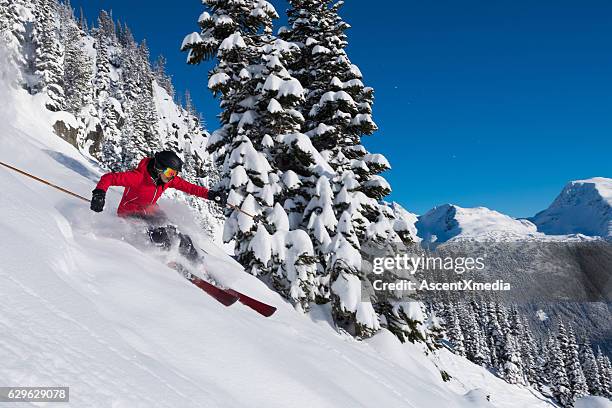 female tree skiing fresh powder - whistler winter stockfoto's en -beelden