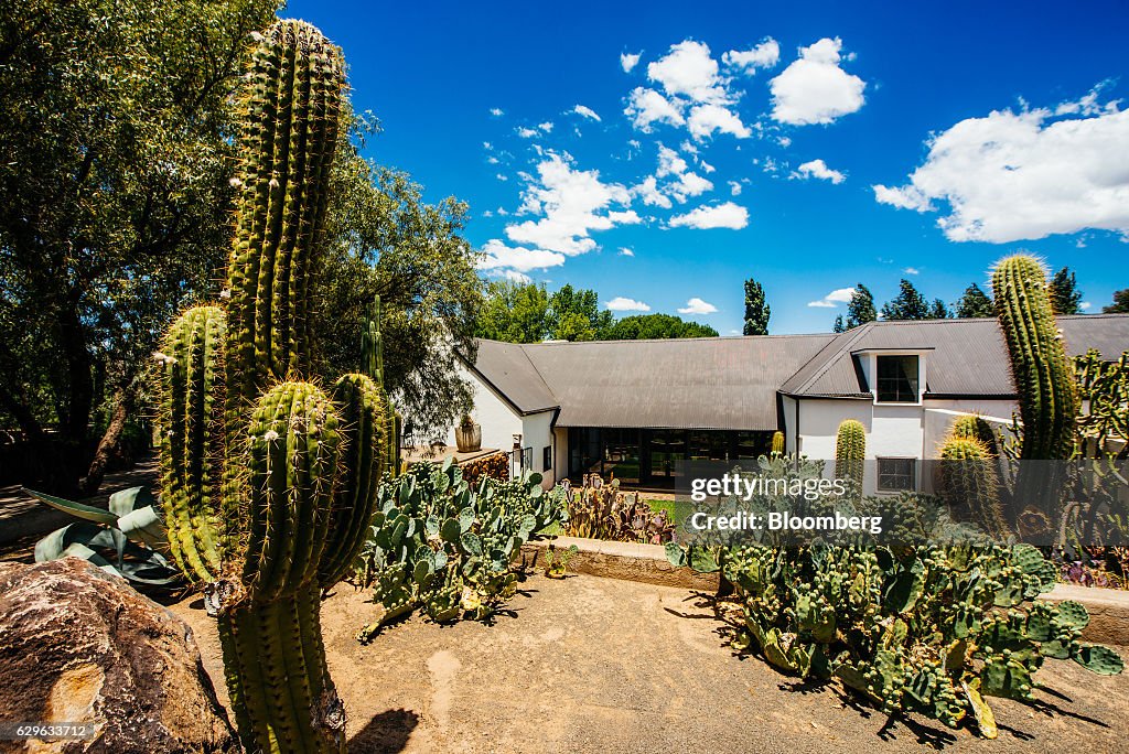 Gary Player Sells Horse Stud Farm in Test for Trophy Properties