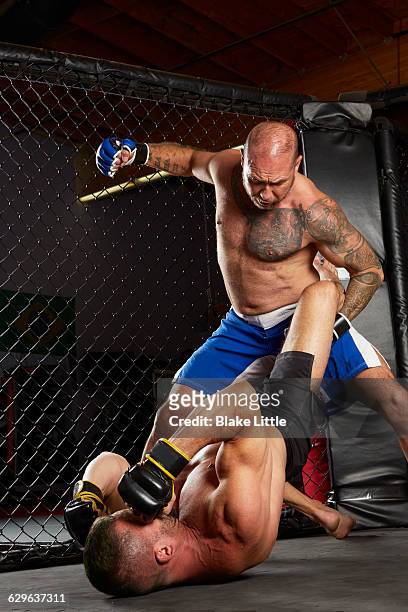 mixed martial arts fighters cage tall - mixed martial arts stock pictures, royalty-free photos & images