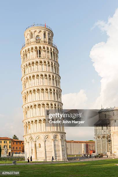 leaning tower of pisa, tuscany, italy - ピサ ストックフォトと画像