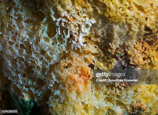 mouldy bread, close up - moldy bread stock pictures, royalty-free photos & images