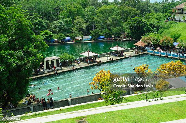 public swimming pool in lombok - by sheldon levis stock pictures, royalty-free photos & images