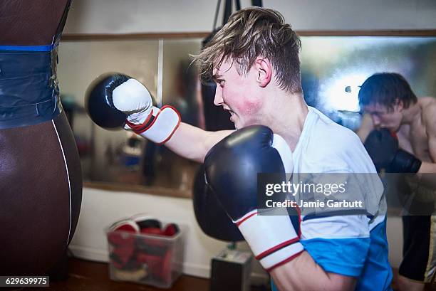 young male boxer training on a punch bag - sparring foto e immagini stock