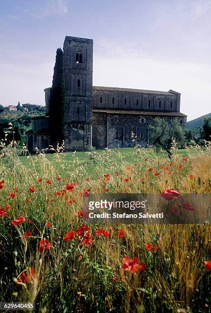 montalcino, abbey of sant'antimo - abbazia di santantimo foto e immagini stock