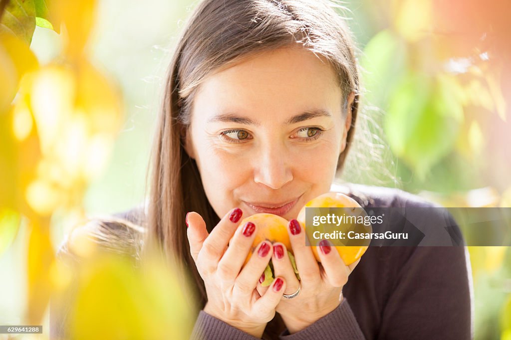 Junge Frau Handpicking Persimmon Obst aus dem Baum