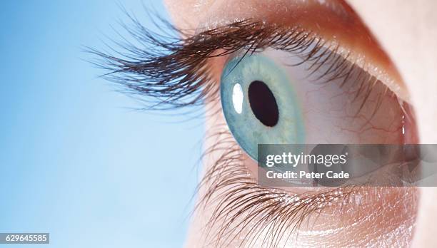 close up of eye - blue eye close up stock pictures, royalty-free photos & images