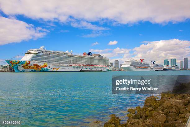 five cruise ships lined up in miami - porto de miami dade imagens e fotografias de stock