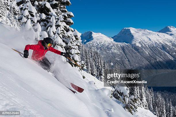 female tree skiing fresh powder - extreem skiën stockfoto's en -beelden