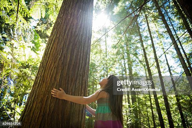 young girl connecting with nature - origins imagens e fotografias de stock