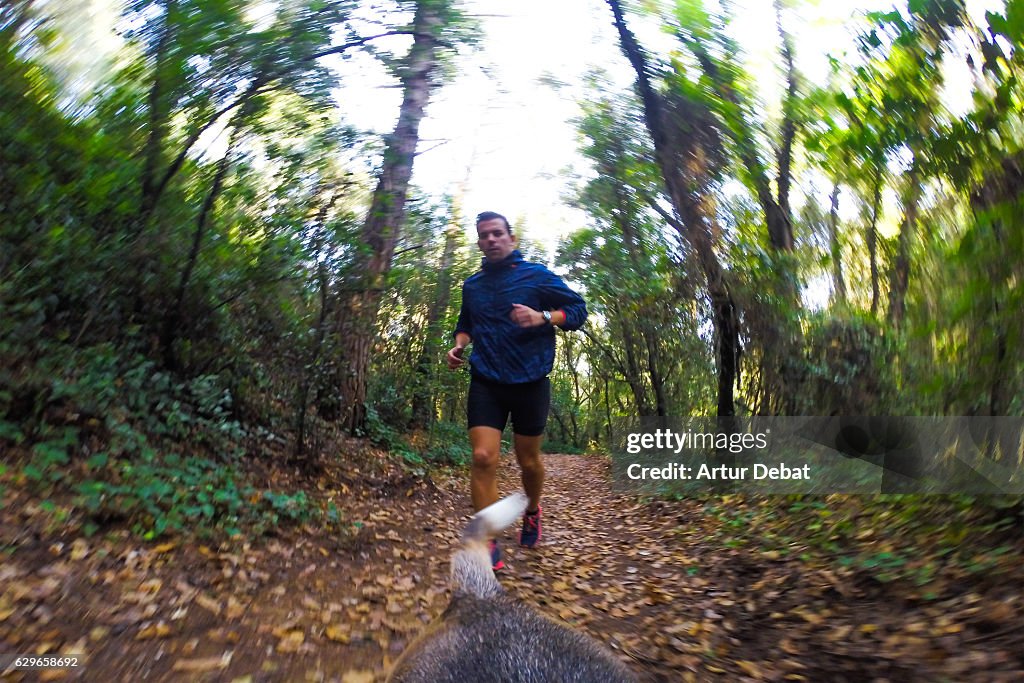 Guy walking beagle dog and doing sport in the beautiful mediterranean forest from dog personal perspective and camera attached to the back of the dog showing his point of view.