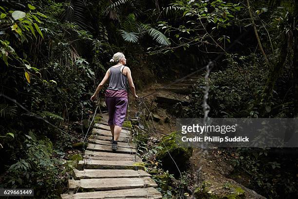 loan female traveller walking exploring nature - nosara costa rica stock pictures, royalty-free photos & images