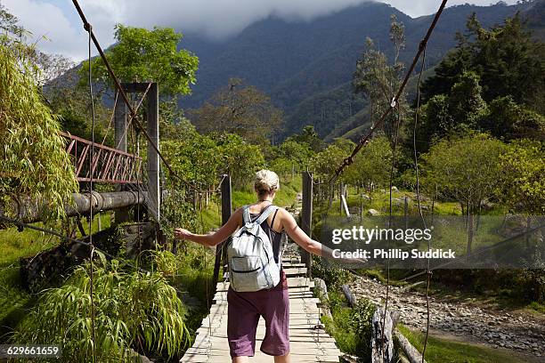 loan female traveller walking exploring nature - touwbrug stockfoto's en -beelden