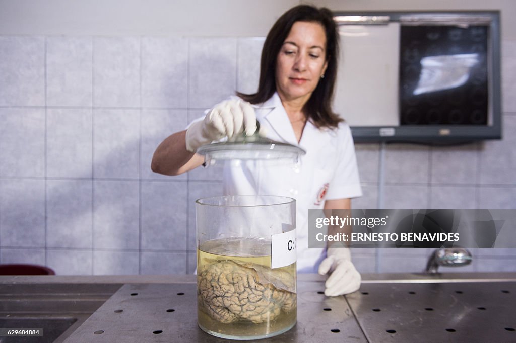 PERU-BRAIN-MUSEUM