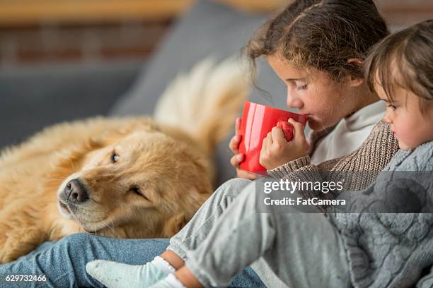 drinking hot chocolate together - hot chocolate stock pictures, royalty-free photos & images
