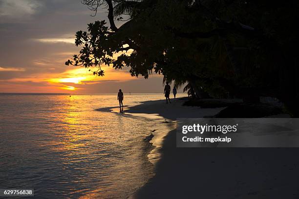 sunset in vilamendhoo island - male maldives ストックフォトと画像