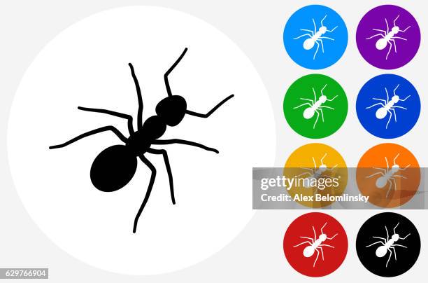 ants icon on flat color circle buttons - ant stock illustrations