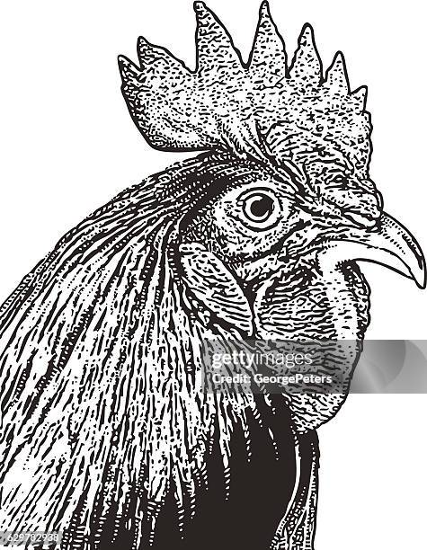 ilustrações de stock, clip art, desenhos animados e ícones de rooster head engraving - rooster print