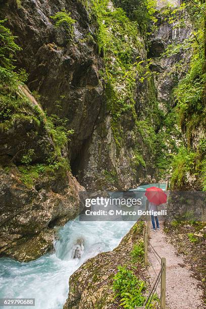 tolmin gorges, triglav national park, slovenia, east europe. - triglav slovenia stock pictures, royalty-free photos & images