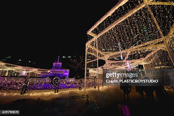 66 Sapporo White Illumination Stock Photos, High-Res Pictures, and
