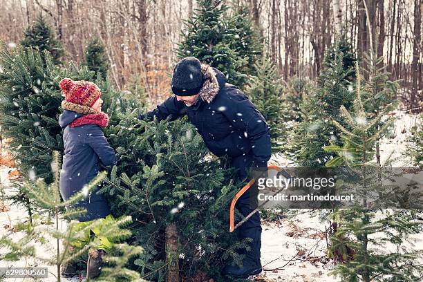 dad cutting perfect christmas tree with helping daughter outdoors winter. - ent stockfoto's en -beelden