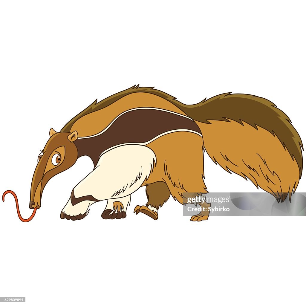 Oso Hormiguero De Dibujos Animados Animal Ilustración de stock - Getty  Images
