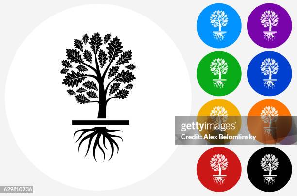 growing tree icon on flat color circle buttons - tree root stock illustrations