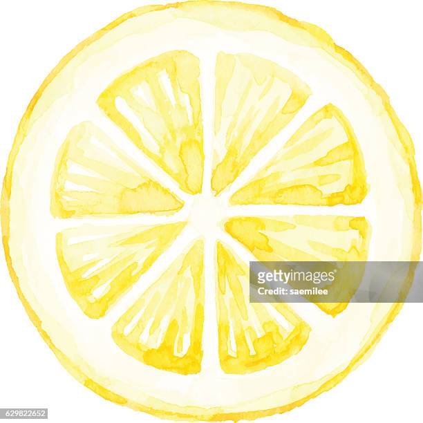 ilustraciones, imágenes clip art, dibujos animados e iconos de stock de acuarela rodaja de limón - limón