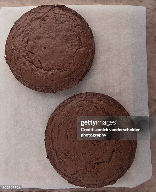 two brownies on baking paper. - brownie fotografías e imágenes de stock