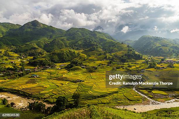 green valley with rice fields - native river stock-fotos und bilder