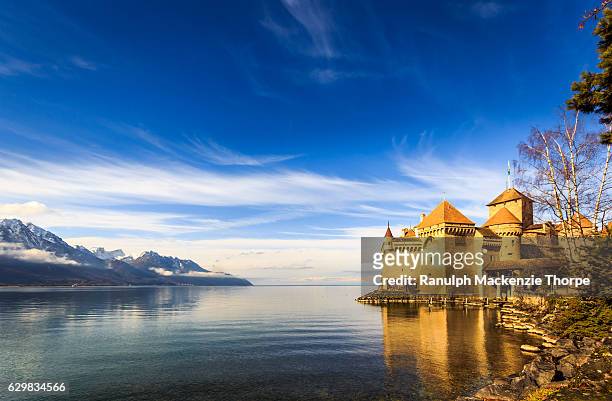 castle by a lake - montreux stock pictures, royalty-free photos & images