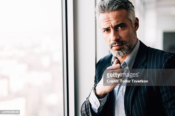 ritratto di un uomo d'affari - capelli grigi foto e immagini stock
