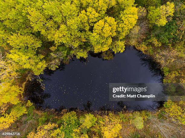 aerial of autumn pond - 斯加內特爾湖 個照片及圖片檔