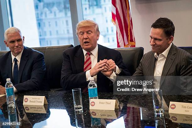 Vice President-elect Mike Pence looks on as President-elect Donald Trump shakes the hand of Peter Thiel during a meeting with technology executives...