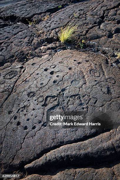 petroglyphs, waikoloa, hawaii - anaehoomalu bay stockfoto's en -beelden