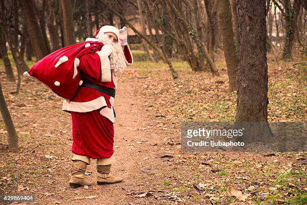 santa claus delivering presents walking in the forest during day - claus lange stock pictures, royalty-free photos & images