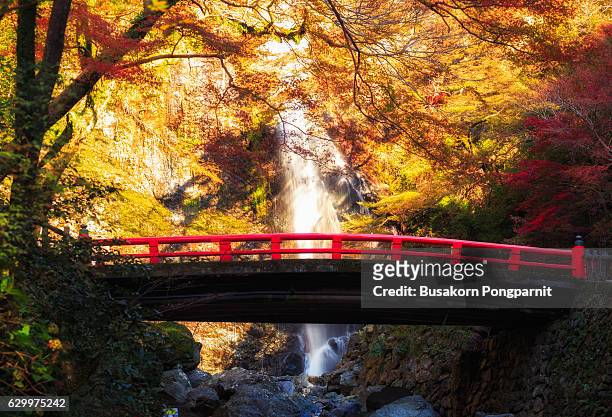 minoh waterfall in autumn season, osaka japan, beautiful waterfall in osaka japan - osaka prefecture stock pictures, royalty-free photos & images