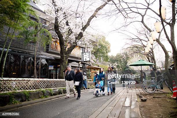 tourist walking under the sakura trees - ueno park - under tongue stock pictures, royalty-free photos & images