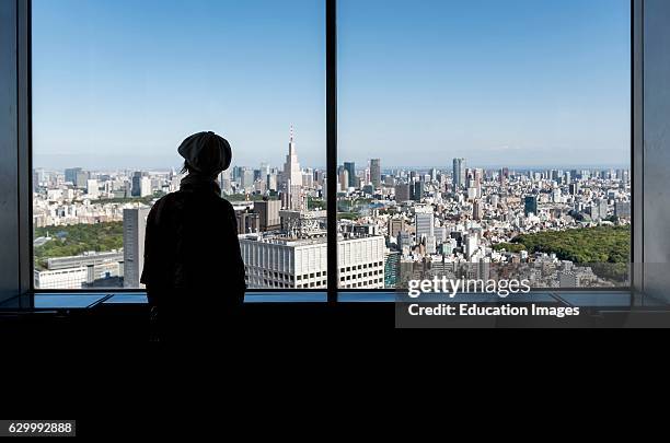 View from Observation Decks of Tokyo Metropolitan Government Building, Shinjuku, Japan.