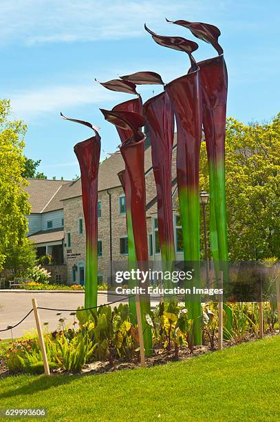 Minnesota, Chaska, Minnesota Landscape Arboretum Giant Pitcher Plant Sculptures.