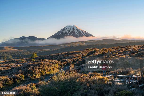 a couple looking at mt ngauruhoe volcano, new zealand. - nieuw zeelandse alpen stockfoto's en -beelden