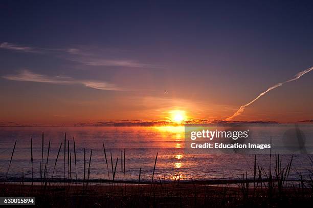 Sunrise on Lake Huron with sea grass, oscoda, MI.