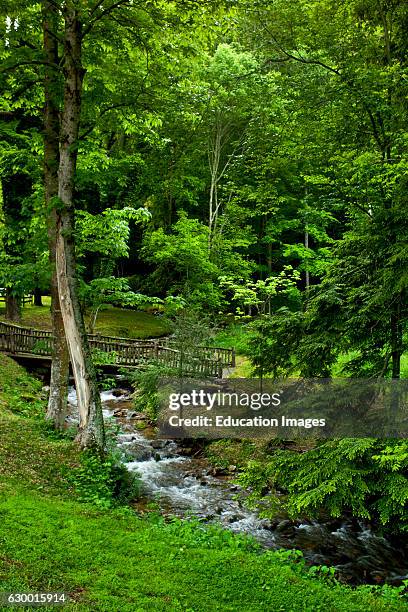 Stream with wooden bridge, Buck House on Bald Mountain, Burnsville, NC.