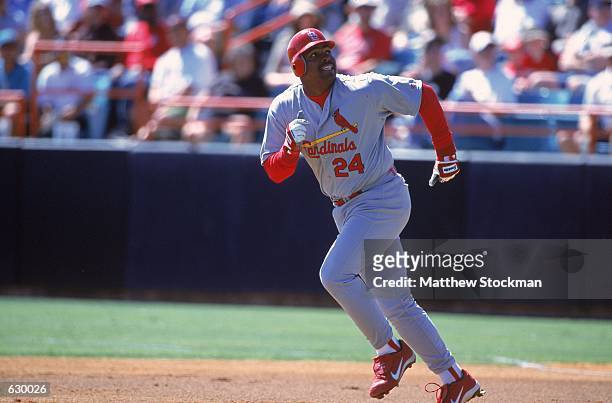 Bobby Bonilla of the St. Louis Cardinals watches the ball as he runs to base during the Spring Training game against the Florida Marlins at the Space...