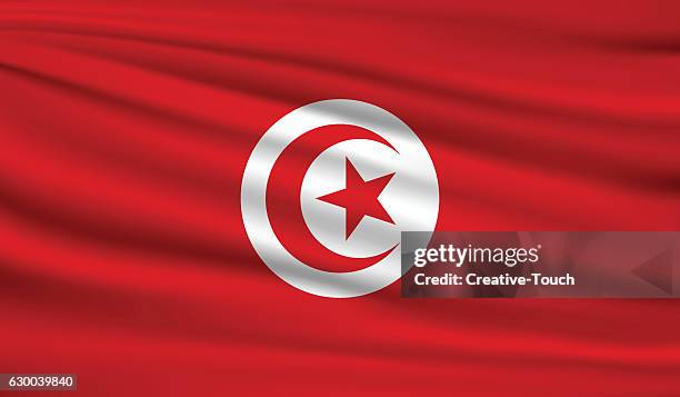 tunus - tunis stock illustrations