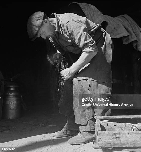 Man Shoeing a Horse, Wallingford, Connecticut, USA, by Jack Delano for Farm Security Administration, circa 1940.