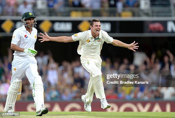 Josh Hazlewood of Australia celebrates taking the wicket of Younis Khan of Pakistan during day two of the First Test match between Australia and...
