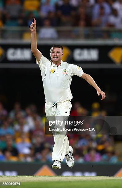 Jackson Bird of Australia celebrates after taking the wicket of Sami Aslam of Pakistan during day two of the First Test match between Australia and...