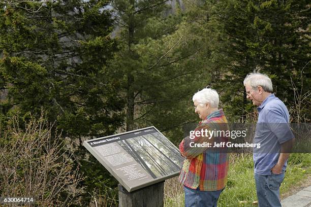 Couple looking at an information board at Newfound Gap.