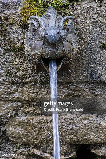 The sacred water flows out of 108 pipes like this around the temple complex.